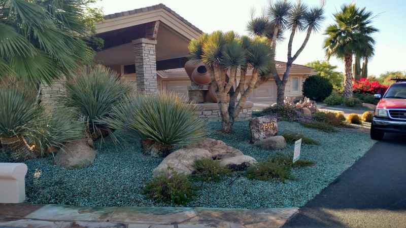 Scottsdale McDowell Mountain Ranch Weed Control - After
