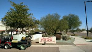 glendale weed control cocacola-161021