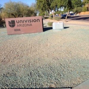 phoenix commercial weed control