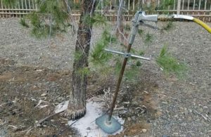 Deep Root Tree Fertilization in Gilbert AZ